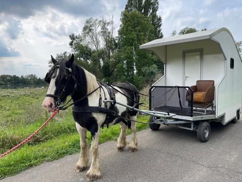 Paardencamper *nieuwestaat*, Dieren en Toebehoren, Rijtuigen en Koetsen, Nieuw, Overige typen, Paard of Pony, Gesloten