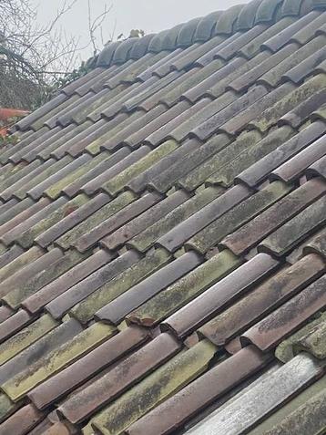 Dakpannen met ballonvorsten!