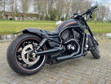 Harley Davidson VRSCDX NIGHTROD SPECIAL 2013 Airride BTW 