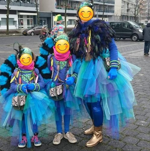 Carnavalskostuum pauw groep 8 pers, Kinderen en Baby's, Carnavalskleding en Verkleedspullen, Zo goed als nieuw, Jongen of Meisje