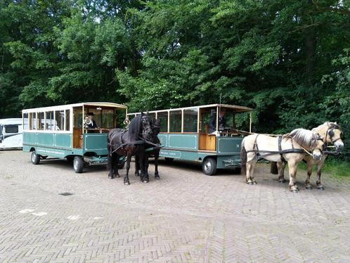 Paardentrams. 2 Prachtige exemplaren voor de liefhebber, Dieren en Toebehoren, Rijtuigen en Koetsen, Gebruikt, Overige typen, Paard