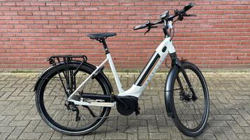 Gazelle Ultimate T10 | 53 cm | Bosch | 500 Wh | 6000 km