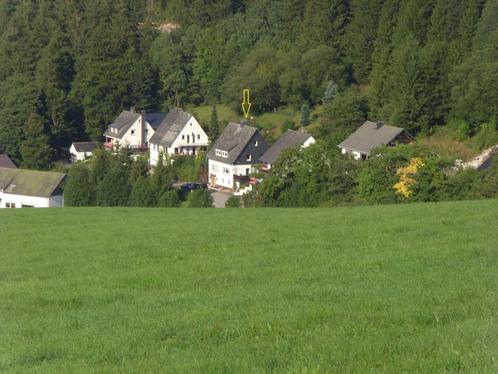 Sauerland Willingen woning 2-8 pers vanaf € 100.- per dag, Vakantie, Vakantiehuizen | Duitsland, Sauerland, Appartement, Dorp