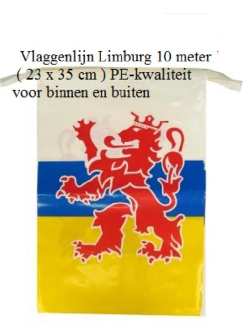 Vlaggenlijn Limburg 10 meter met rechthoekige vlaggetjes, Diversen, Vlaggen en Wimpels, Nieuw, Ophalen of Verzenden