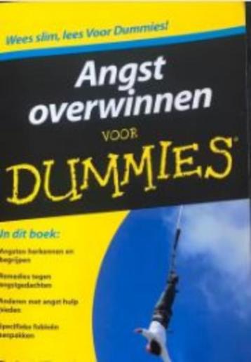 Angst overwinnen voor dummies van Elliott en Smith