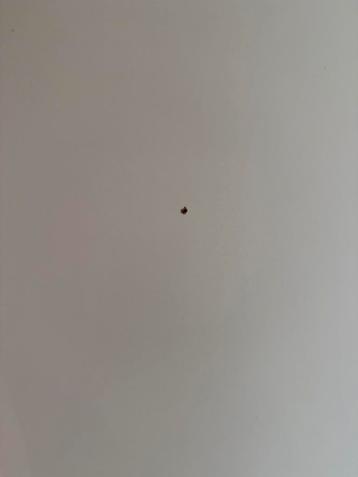 IKEA Bekant Zit/sta bureau 120x80cm Elektrisch Verstelbaar - afbeelding 3 IKEA Bekant Zit/sta bureau 120x80cm Elektrisch Verstelbaar - afbeelding 3