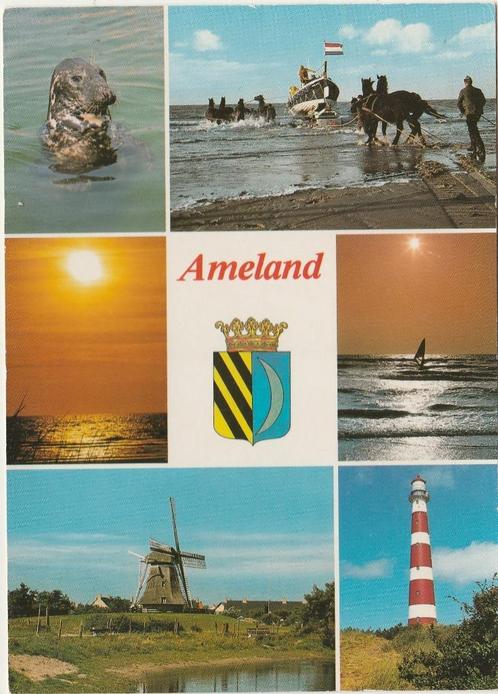 AMELAND Zeehond Avond Molen Reddingsboot Vuurtoren, Verzamelen, Ansichtkaarten | Nederland, Gelopen, Waddeneilanden, 1980 tot heden