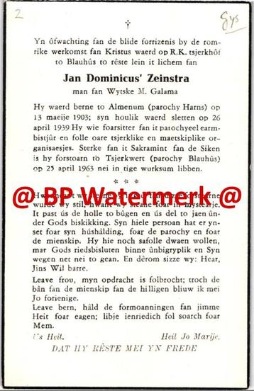 Zeinstra Jan D 1903 Almenum 1963 Tjerkwerd x Galama - 27993