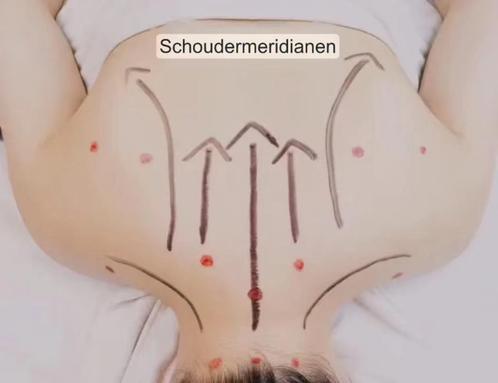 Traditionele Chinese massage   zie omschrijving, Diensten en Vakmensen, Welzijn | Overige