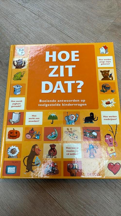 Hoe zit dat?, Boeken, Kinderboeken | Jeugd | onder 10 jaar, Zo goed als nieuw, Ophalen of Verzenden