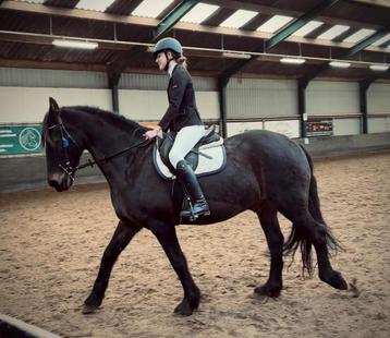 Vertrouwbare verzorger aangeboden