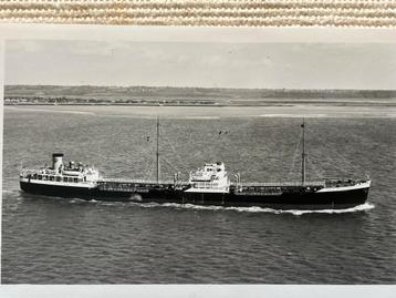ERRINA   1936  Shell Tanker Nederl.  - Skyfoto 