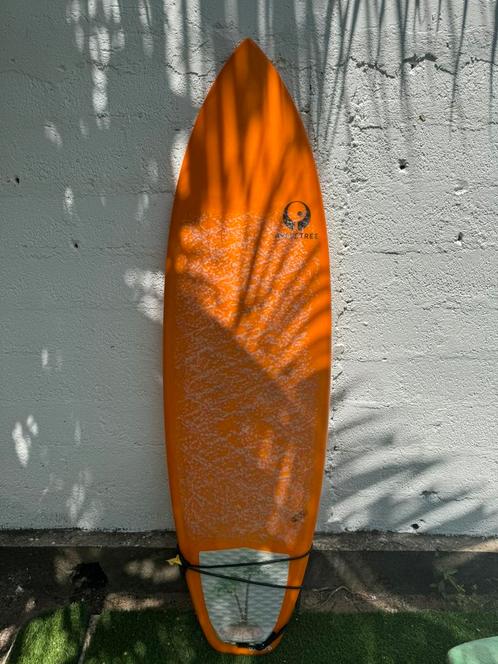 Apple tree 6.1 ft Jonagold as new! Surfboard - shortboard, Watersport en Boten, Golfsurfen, Zo goed als nieuw, Shortboard, Met vinnen