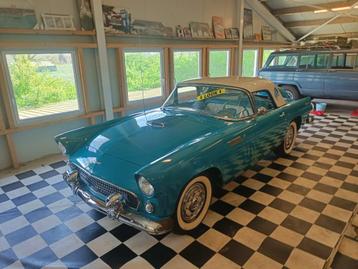 Ford ThunderBird 1956 project uiterst unieke fifties auto