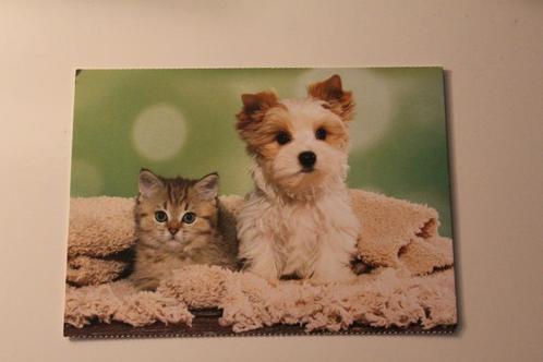 Katten Postkaart - Hond en Kitten samen onder een Deken, Verzamelen, Ansichtkaarten | Dieren, Ongelopen, 1980 tot heden, Hond of Kat