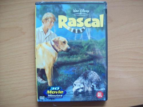 Rascal (Nieuw in folie!) Walt Disney, 1969, wasbeer, Cd's en Dvd's, Dvd's | Klassiekers, Nieuw in verpakking, Overige genres, 1960 tot 1980