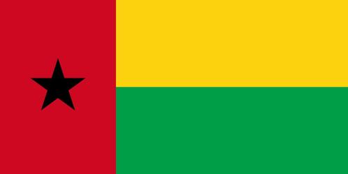 vlag Guinee-Bissau 90x150 cm, Diversen, Vlaggen en Wimpels, Nieuw, Ophalen of Verzenden