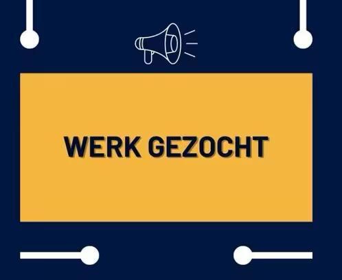 WERK Gezocht!, Vacatures, Profielen | Man/Vrouw zoekt werk