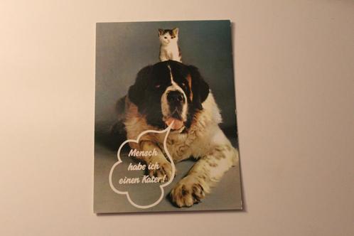 Katten Postkaart - Kitten zit op Rug van Sint Bernhard, GER, Verzamelen, Ansichtkaarten | Dieren, Ongelopen, 1960 tot 1980, Hond of Kat