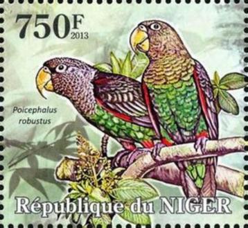 2013 Niger - Fauna - Vogels - Papegaaien