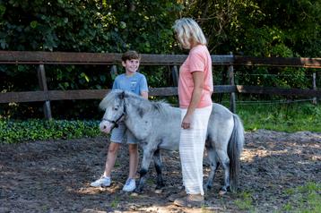 Paardencoaching voor volwassenen en kinderen