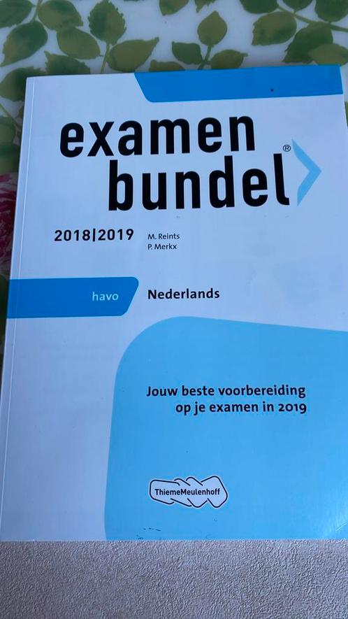 M. Reints - havo Nederlands 2018/2019, Boeken, Schoolboeken, Zo goed als nieuw, Nederlands, Ophalen of Verzenden