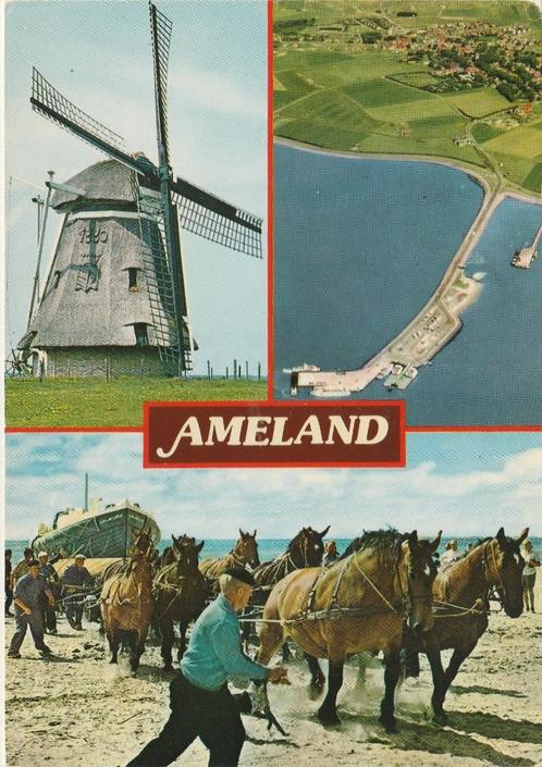 AMELAND Molen Reddingboot met Paarden Veerdam, Verzamelen, Ansichtkaarten | Nederland, Gelopen, Waddeneilanden, 1980 tot heden