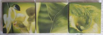 3 Delige set - canvas fotoprint+handbeschilderd - Botanical
