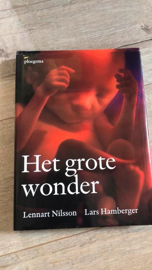 Lars Hamberger - Het grote wonder, Boeken, Zwangerschap en Opvoeding, Zo goed als nieuw, Ophalen of Verzenden