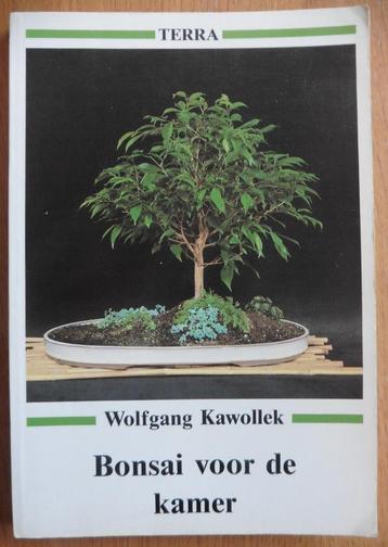 Bonsai voor de kamer – Wolfgang Kawollek 
