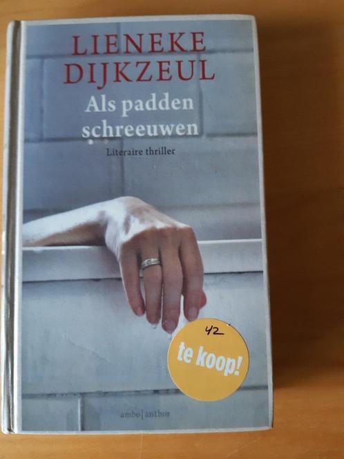 Literaire thriller Lieneke Dijkzeul, Boeken, Thrillers, Gelezen, Nederland, Ophalen of Verzenden