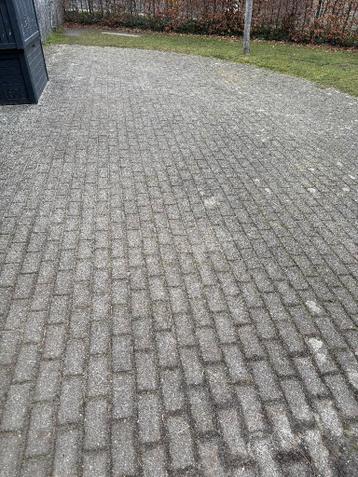 GRATIS!! Betonstraat stenen (19x9x7) ca. 55m2