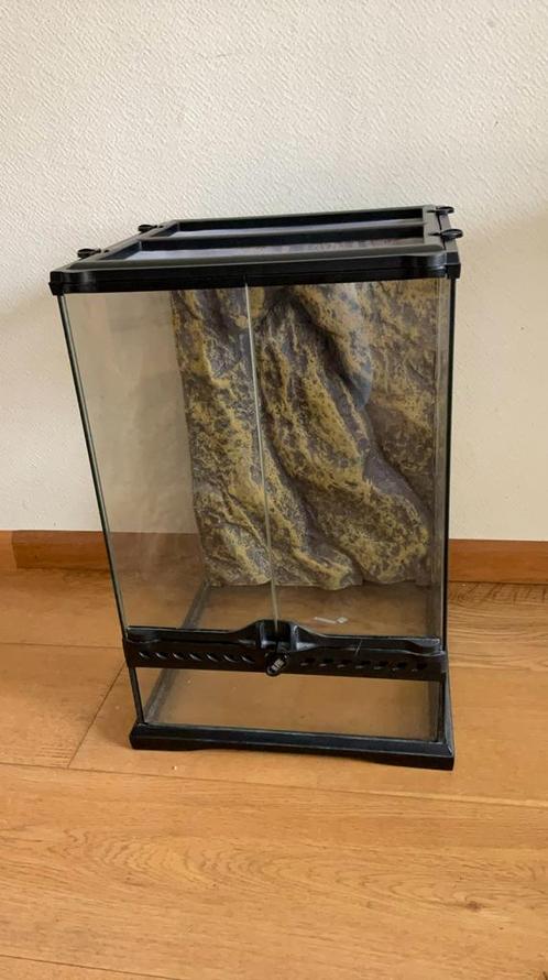 Terrarium 30 x 30 x 47, Dieren en Toebehoren, Reptielen en Amfibieën | Toebehoren, Zo goed als nieuw, Terrarium of Paludarium