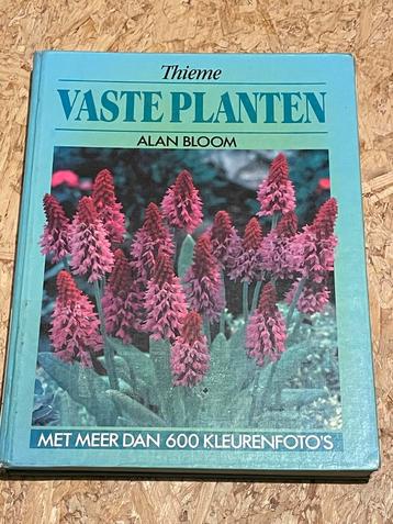 A. Bloom - Vaste planten