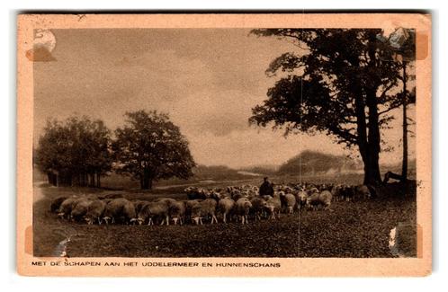 Uddel, Met de schapen aan het Uddelermeer en Hunnenschans, Verzamelen, Ansichtkaarten | Nederland, Gelopen, Gelderland, 1920 tot 1940