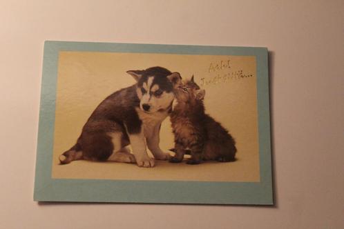 Katten Postkaart - Siberian Husky Pup en Kitten, Finland, Verzamelen, Ansichtkaarten | Dieren, Ongelopen, 1980 tot heden, Hond of Kat