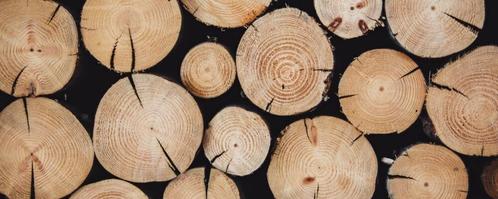 Gezocht stamhout brandhout brand hout eiken beuk stammen, Tuin en Terras, Haardhout, Stammen, 6 m³ of meer, Ophalen
