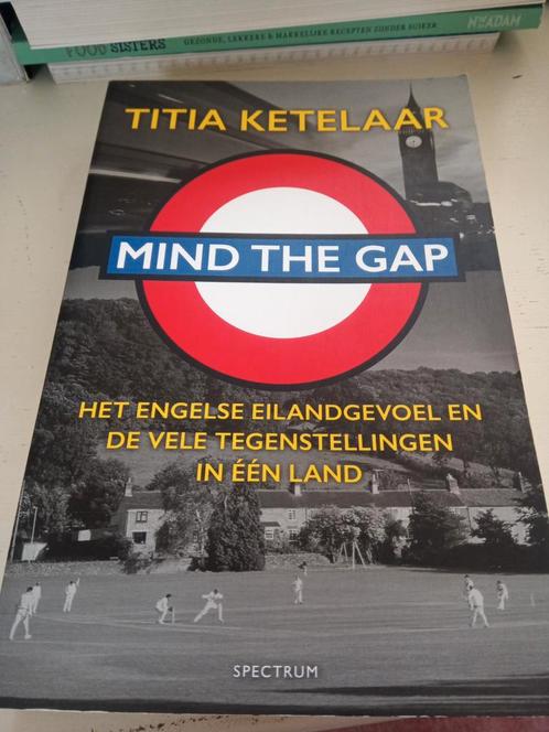 Titia Ketelaar - Mind the gap, Boeken, Overige Boeken, Zo goed als nieuw, Ophalen of Verzenden