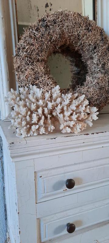 Oud stuk koraal wit brocante