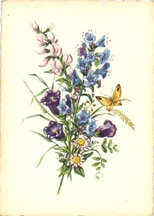 Veldboeket bloemen met vlinder - ongelopen, Verzamelen, Ansichtkaarten | Themakaarten, Ongelopen, Ophalen of Verzenden