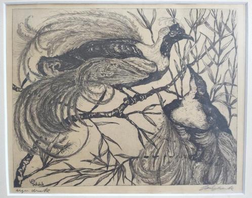 Jan Schonk Paradijsvogels Ets, Antiek en Kunst, Kunst | Etsen en Gravures, Ophalen of Verzenden