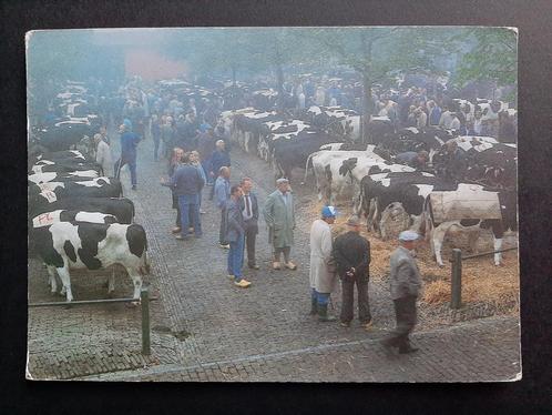 Ansichtkaart Koeien markt Veemarkt / boeren / 1991 / 26.84, Verzamelen, Ansichtkaarten | Dieren, Gelopen, 1980 tot heden, Overige soorten