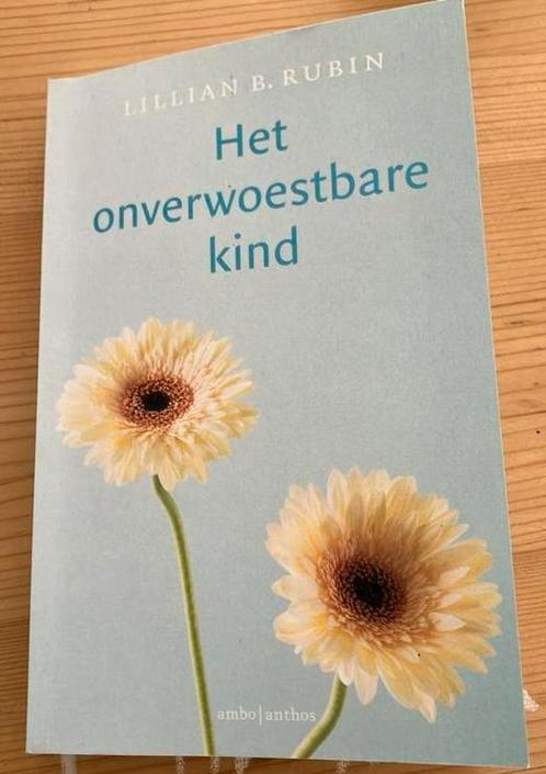 Lilian Rubin - Het onverwoestbare kind, Boeken, Psychologie, Zo goed als nieuw, Overige onderwerpen, Ophalen of Verzenden