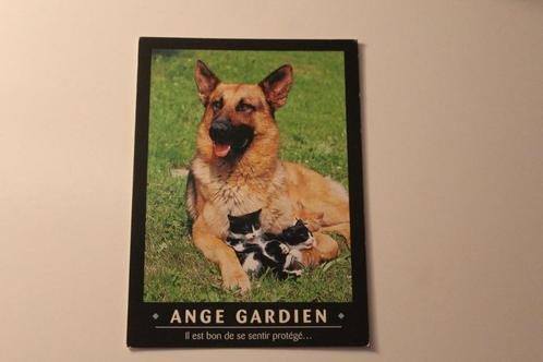 Katten Postkaart - Kitten tussen Poten van Herdershond Franc, Verzamelen, Ansichtkaarten | Dieren, Ongelopen, 1980 tot heden, Hond of Kat