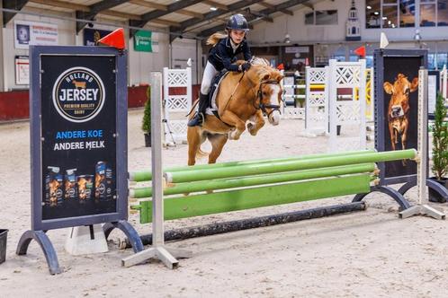 Springtopper, bixiepony, A pony, sportpony, Dieren en Toebehoren, Pony's, Merrie, M, A pony (tot 1.17m), Springpony, 11 jaar of ouder