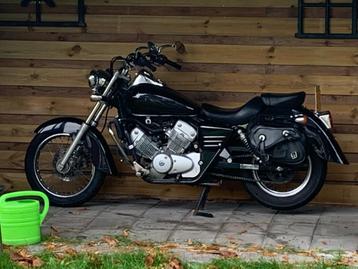 Honda Shadow V-twin 125 cc Rijbewijs A1