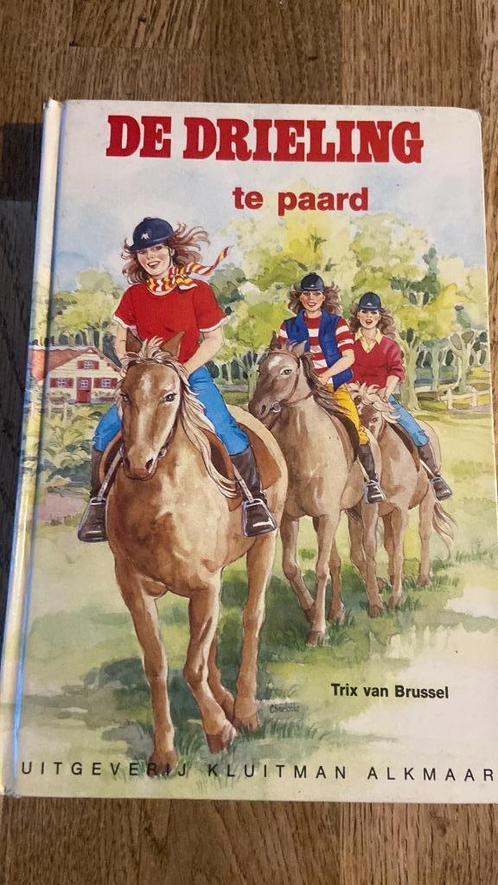 De drieling te paard van Trix van Brussel, Boeken, Kinderboeken | Jeugd | 10 tot 12 jaar, Zo goed als nieuw, Ophalen of Verzenden
