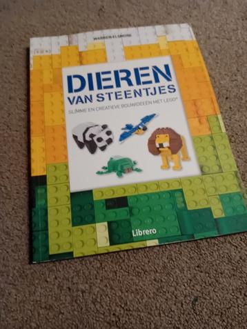 Lego boek voor mensen van 5-99