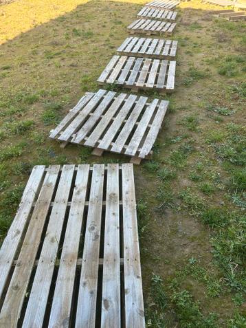 Gratis 17 houten pallets af te halen