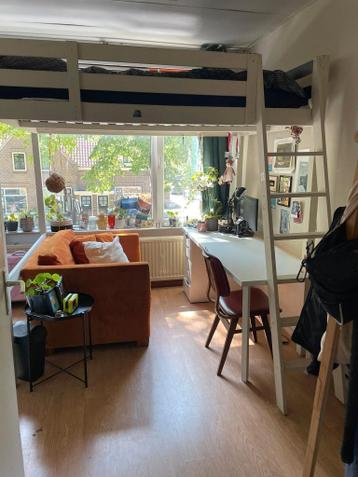 Hoogslaper gratis ophalen!!